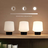 Ambience Lamp Intelligent+ with Oslo base in natural oak wood, small size 5, indoor lighting.