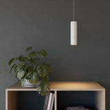 White Expo Pendant light with slim aluminum design hanging indoors against a neutral background.