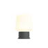 Ambience Lamp Intelligent+ in anthracite with a rounded shade and compact base, suitable for indoor and outdoor use