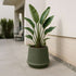 Olive ceramic Gaia 38 outdoor planter with matte fluted surface and drainage hole