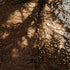 Mollis Coffee Table