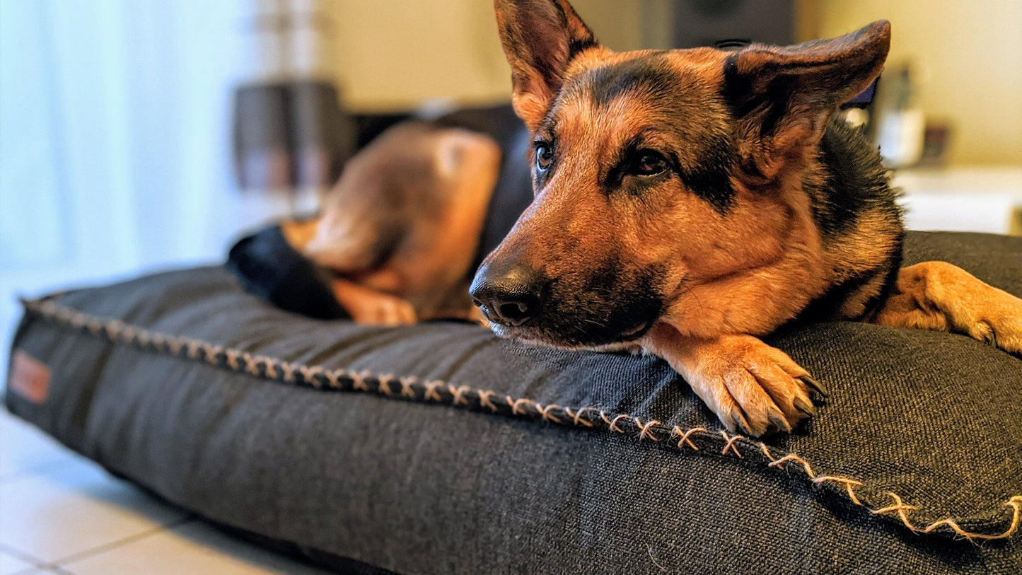 Dog bed - Dog cushion in strong materials