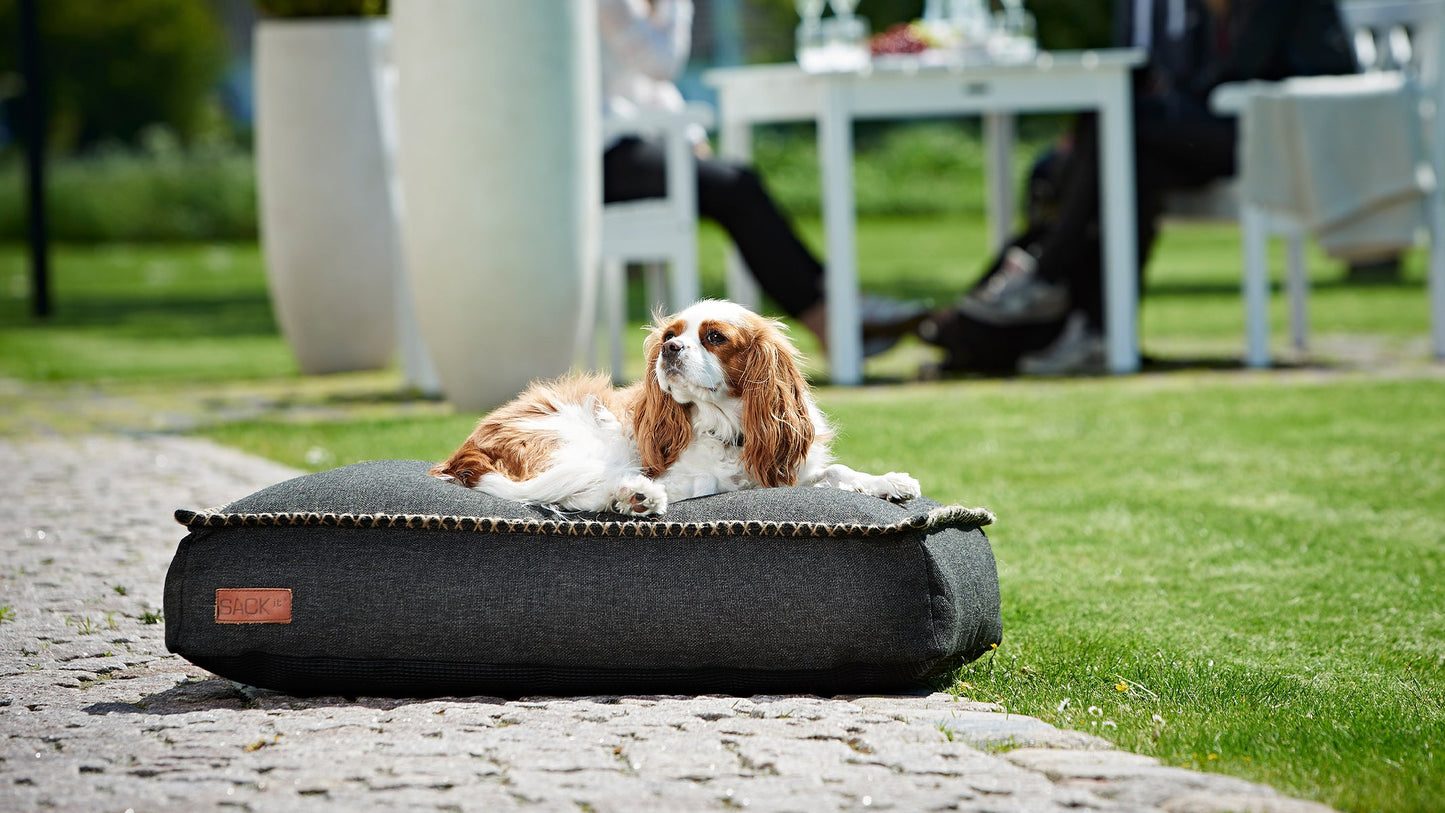 Dog bed - Dog cushion in strong materials