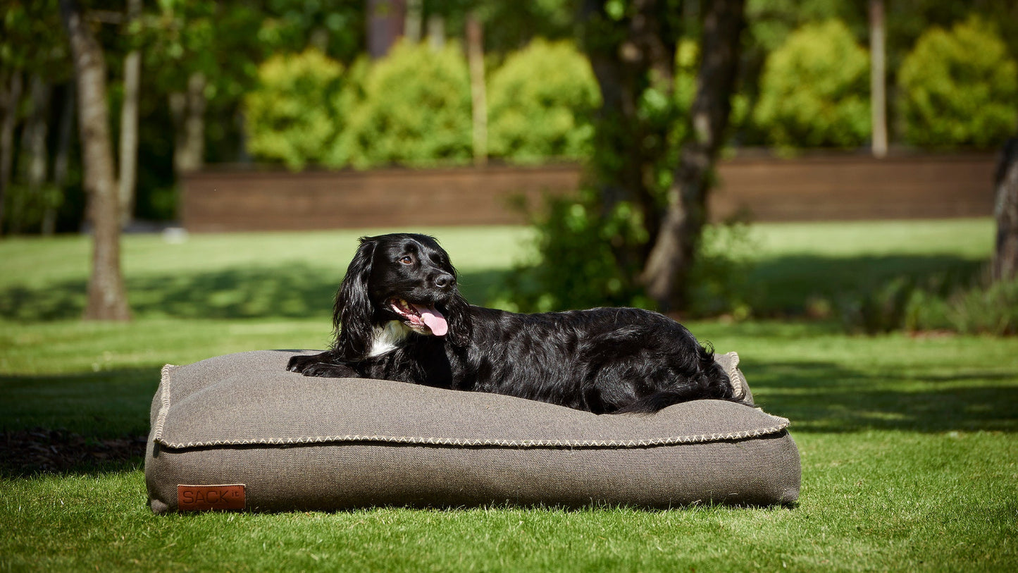 Dog bed - Dog cushion in strong materials