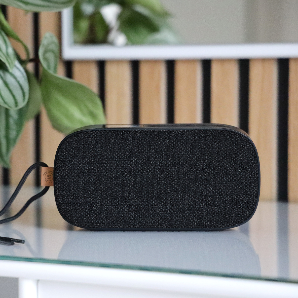 Go 300 Care - Portable radio & Bluetooth speaker