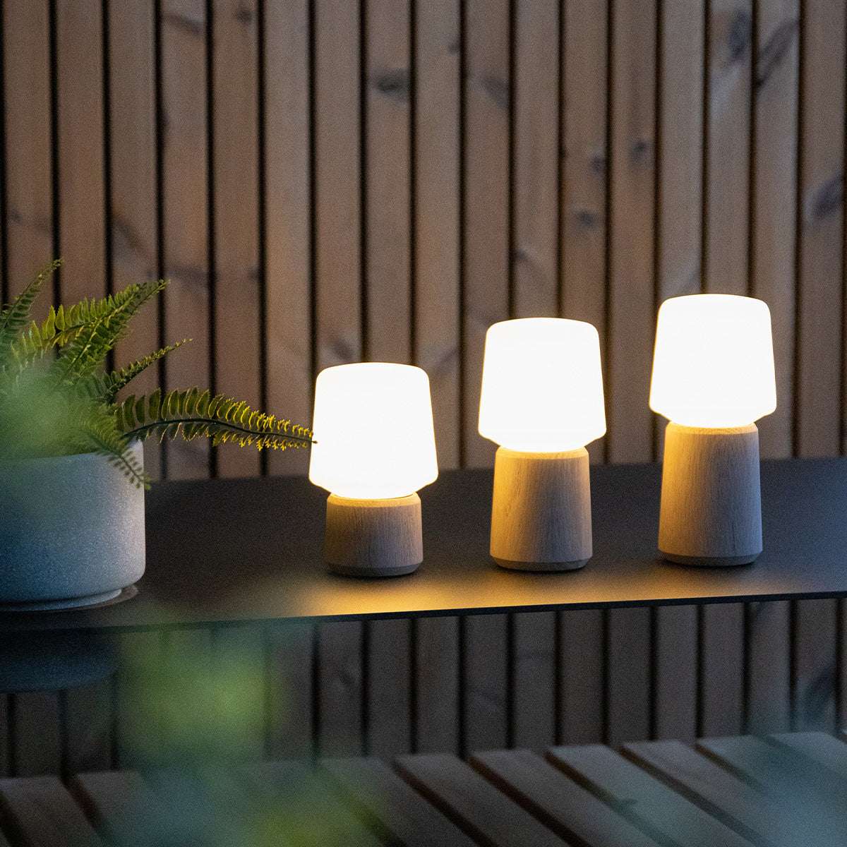 Ambience Lamp Intelligent+ with Oslo solid oak base, size 8, indoor Bluetooth-controlled lamp with adjustable brightness.