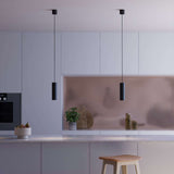 Black Expo Pendant light with a slim aluminum design hanging indoors against a white background.