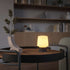 Compact anthracite Ambience Lamp Intelligent+ with rounded shade and base, designed for indoor and outdoor use.