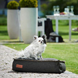 Mini Cobana Black dog bed with water-repellent fabric and non-slip bottom in a simple setting