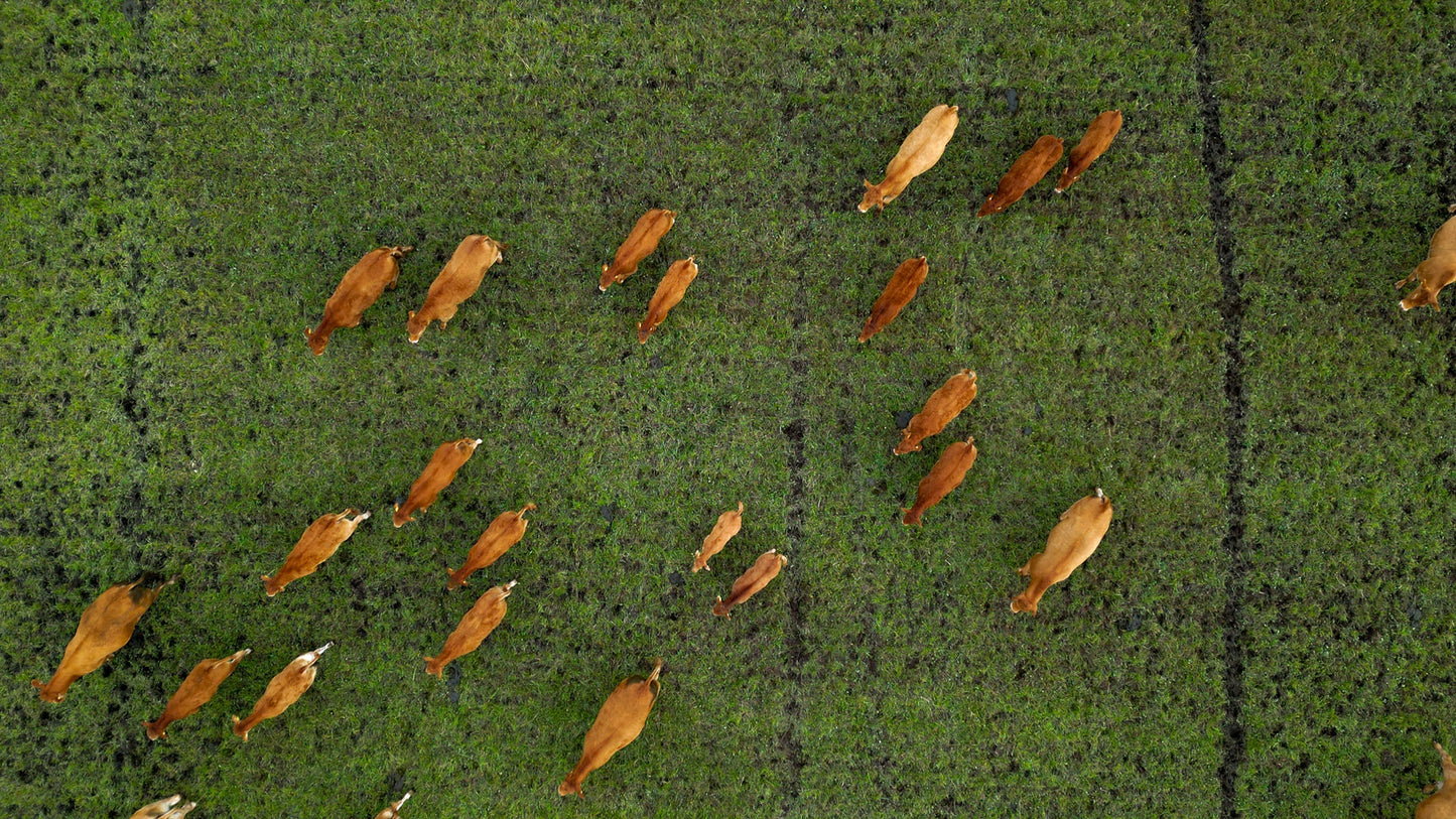 Nordic Bar Stool - Oak - Bar stool with a leather seat and solid oak legs