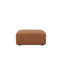 variant_8600117