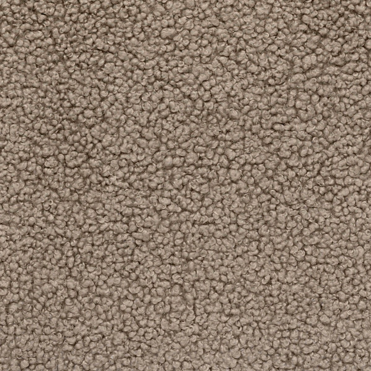 variant_8900638