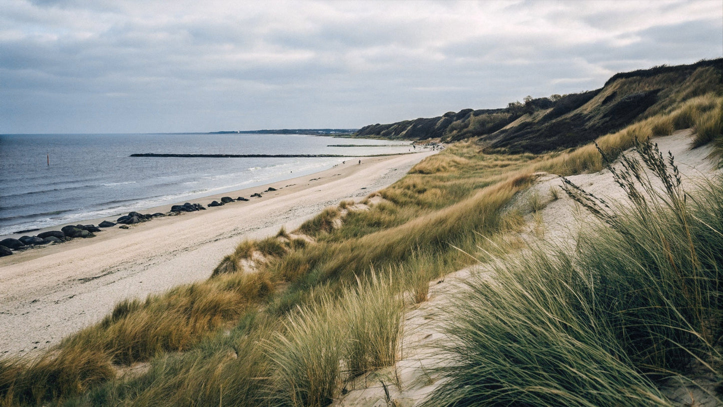 Tide Cushion - Outdoor cushion with contrast