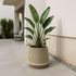 Sand-colored Gaia 38 ceramic outdoor planter with fluted surface and drainage hole