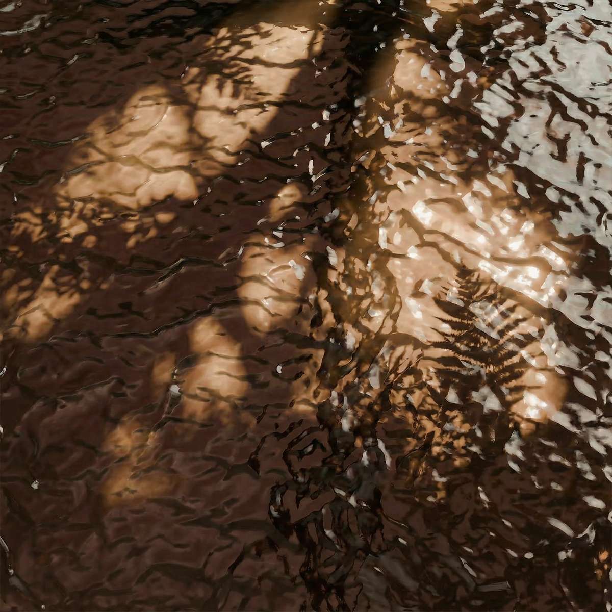 Olive Mollis Side Table with round smoked glass top and powder-coated aluminum frame outdoors