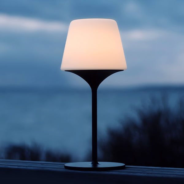 Ambience - Lamp Intelligent & Aalborg base